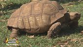 Il centro biodiversità di Fogliano