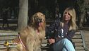 A quale personaggio famoso assomiglia il tuo cane?