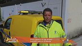 Due cavalli e un asino salvati dalla strada