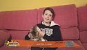 Perchè tutti i gatti sono attratti da quello che si muove velocemente?