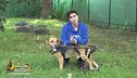 I cagnolini invisibili