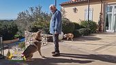Nana, Lula e Leila, gli amici di Gino Paoli