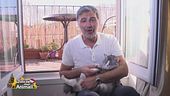Geneve, la cucciola di: Beppe Convertini