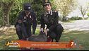 Operazione Ghost Kennel