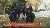 Operazione Ghost Kennel