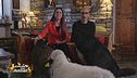 L'albergo "bestiale" di Giacomo e Micaela