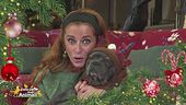 Auguri animalisti a tutti voi