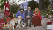 I fantastici cani-guida