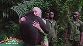 Jane Goodall, una vita dedicata agli scimpanzè