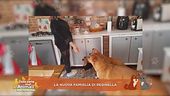 La nuova famiglia di Reginella