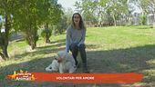 Volontari per amore