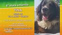 Ritroviamo Tina
