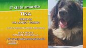 Ritroviamo Tina