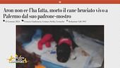 Diritti in prima linea