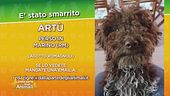 Ritroviamo Artù