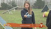 Impariamo divertendoci