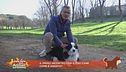 Il primo incontro con il tuo cane come è andato?
