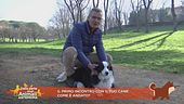 Il primo incontro con il tuo cane come è andato?