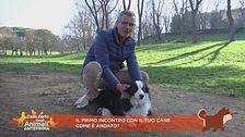 Il primo incontro con il tuo cane come è andato?
