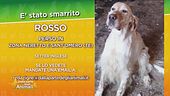 Troviamo Rosso!