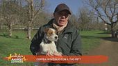 Com'è il risveglio con il tuo pet?