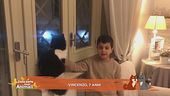 Perché ai gatti piace guardare fuori dalla finestra?