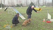 Il gioco di ricerca