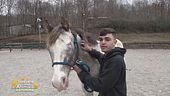 L'incredibile amicizia tra Cono e il suo cavallo Jay