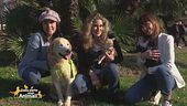Atena, Zeus, Luna e Artù, la famiglia di: Pamela, Eleonora e Ilaria