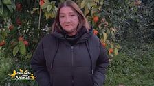 La storia dal canile di Gaeta