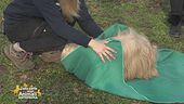 Come asciugare il cane