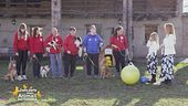 Scopriamo il treibball