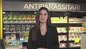 Gli antiparassitari: quale scegliere?
