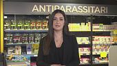 Gli antiparassitari: quale scegliere?