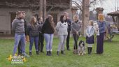 Animal Touch -Pet Therapy