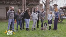 Animal Touch -Pet Therapy