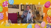 Degli auguri di Buona Pasqua speciali