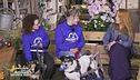 Stella e Luna, due cagnoline speciali