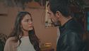 Mehdi chiede perdono a Zeynep
