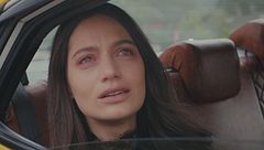 La decisione di Gulbin