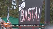 Pace a senso unico: in piazza per la Palestina