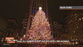 2023, gli alberi di Natale più belli del mondo