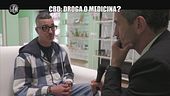 VIVIANI: CBD: droga o medicina?