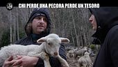 MARTINELLI	: Chi perde una pecora perde un tesoro