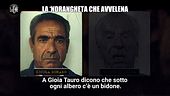 GOLIA: La 'ndrangheta che avvelena