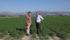 Piana del Fucino, l'orto d'Italia