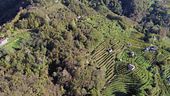 Le colline del Prosecco