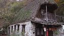 Il fojarol