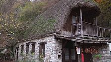 Il fojarol
