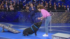 Lo slalom del maialino Pongo